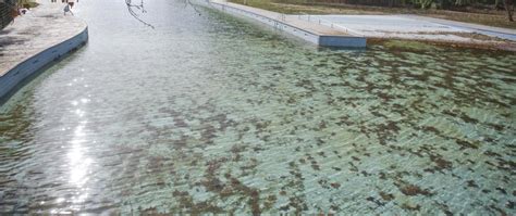 piscina vallparadis|Es detecten fuites a la piscina de Vallparadís